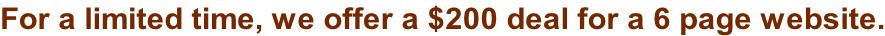 For a limited time, we offer a $200 deal for a 6 page website.